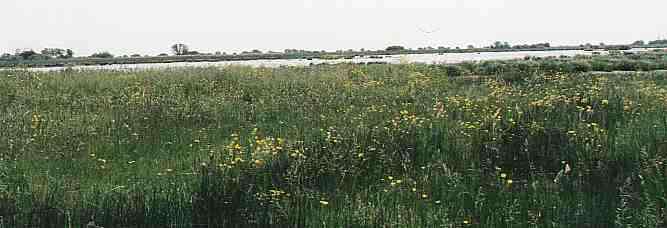Landschaft in der Grande Bri&egrave;re