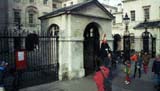 Horse Guard