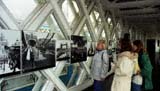 Tower Bridge Gang oben